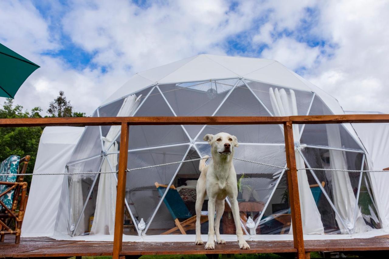 Glamping Claro De Luna 瓜塔维塔 外观 照片